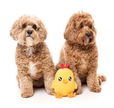 Chicka-Dee - FuzzYard Dog Toy
