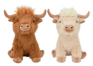 Highland Cow